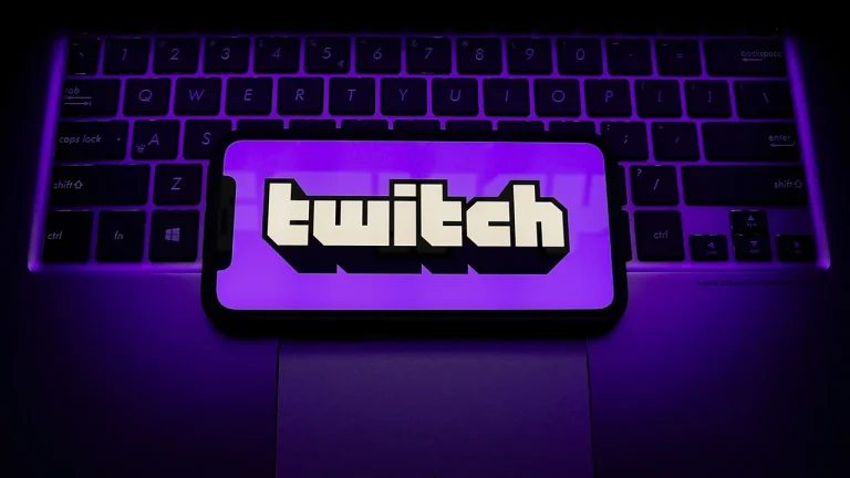 Twitch 2024'