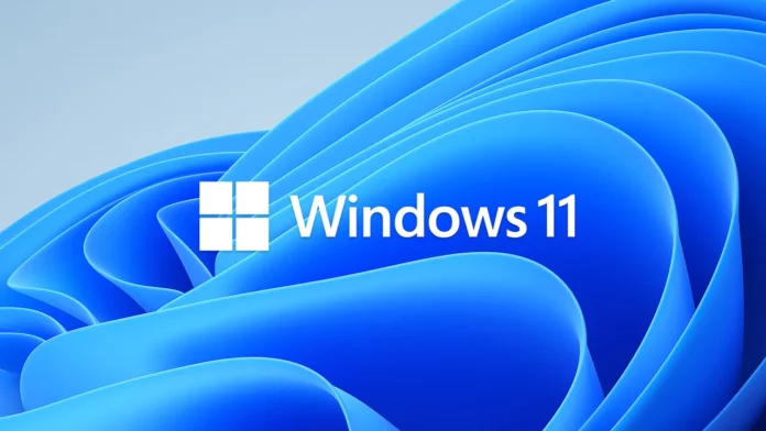 Windows 11'in geri çağırma