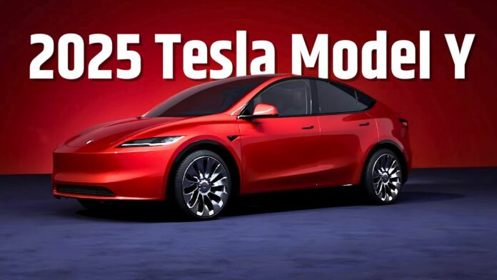 Tesla Model Y'