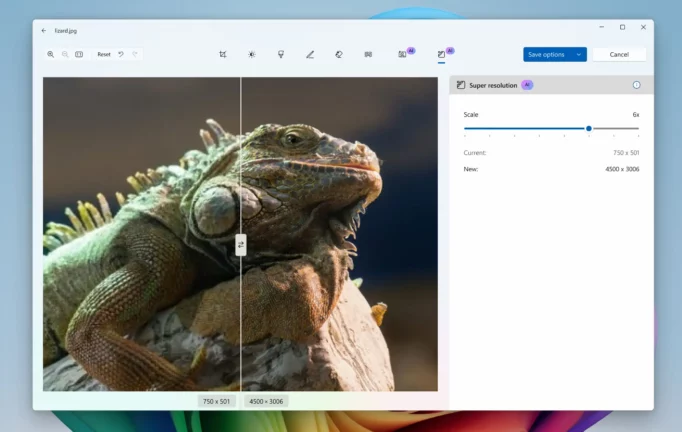 Microsoft fotoğraflar