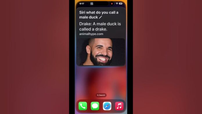 Drake Apple'ı