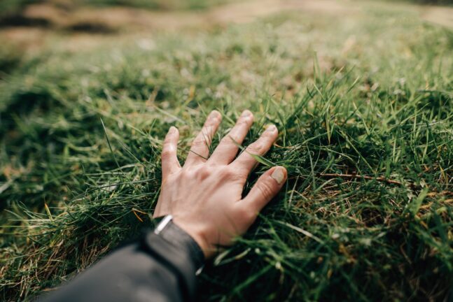 Touch Grass ekran süresi